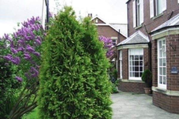 The Grange Nursing Home, 33 Watershaugh Road