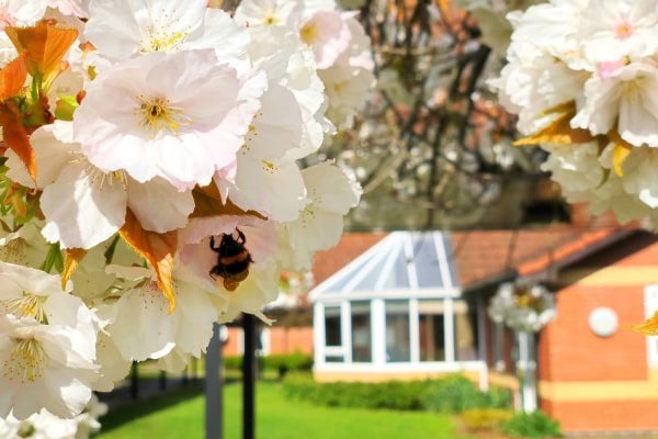 Avocet Court Care Home IP2 8RS