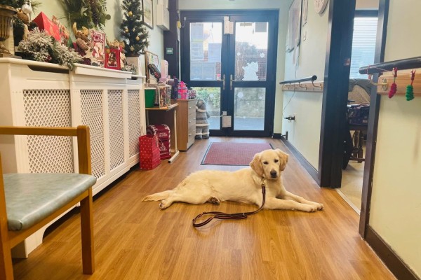 Melbourne House, Llanelli, Carmarthenshire