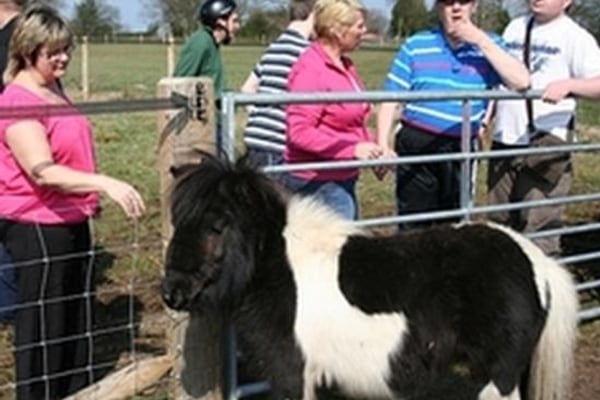 Orchard House, 52 Stafford Road