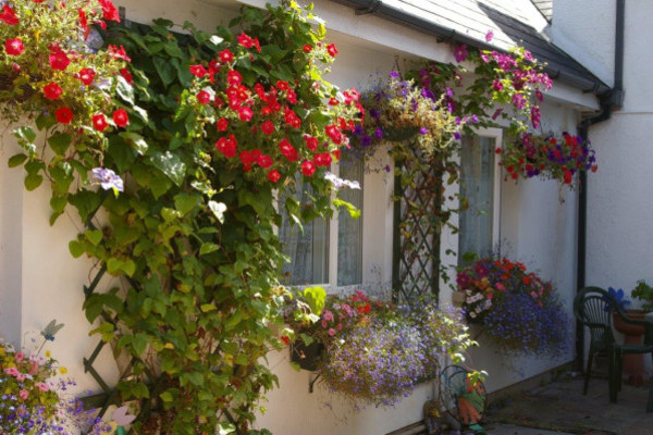 Hollyland Lodge, Pembroke, Pembrokeshire