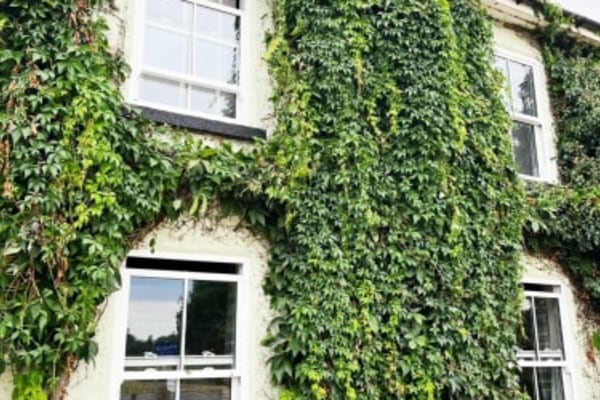 Downview, 12 Downview