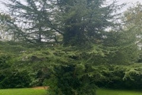 Bankfield House Care Home, Stockport, Greater Manchester