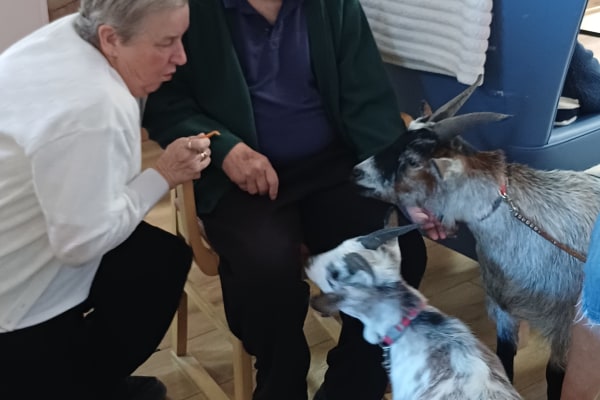 Northway House Residential Home TA2 7SN