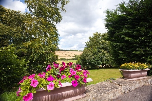 Pilgrim Wood GU3 1HF