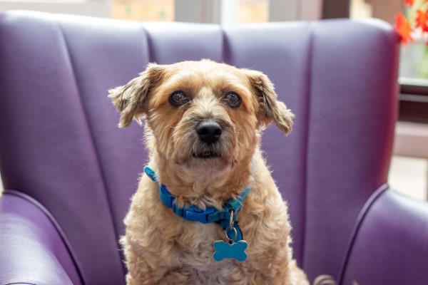 Lancum House NN8 3GL