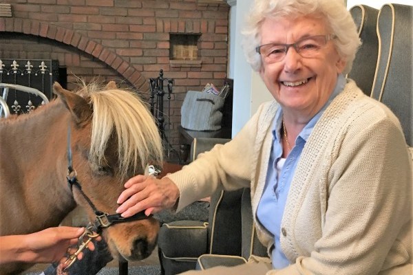 Greys Residential Home GU22 0JQ