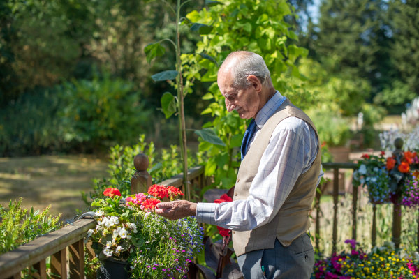 Halstead Hall CO9 1SL