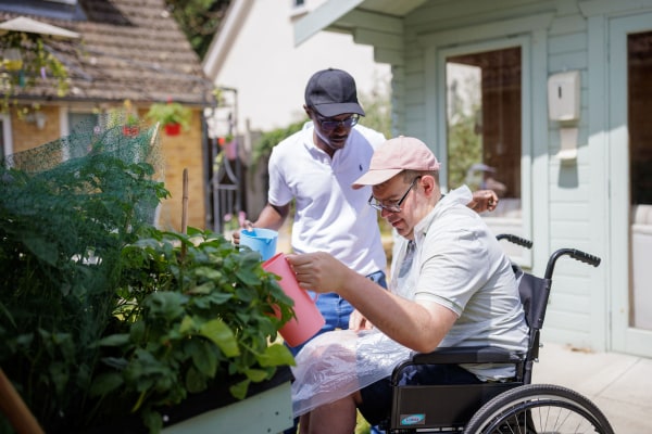Blue Cedars, Farnborough, Hampshire