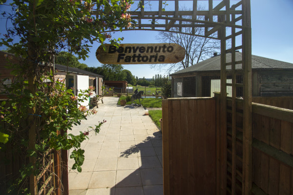 Immacolata House TA10 0NQ