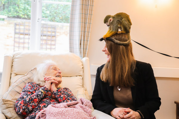 Holly Lodge GU16 9NP