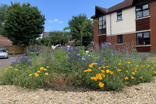 Glastonbury Care Home, Glastonbury, Somerset