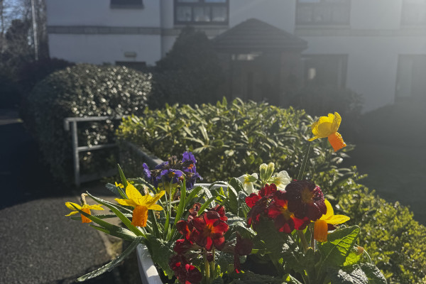 Millbrae Care Home ML5 5NJ