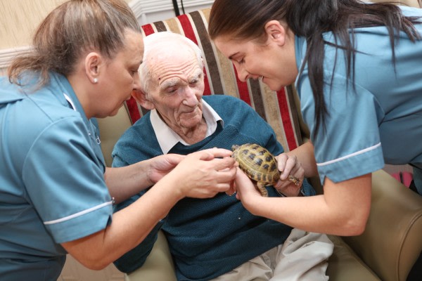 Cherry Tree Care Home Emi Emh Residential High Street Coedpoeth Wrexham Ll11 3uf 29 Reviews