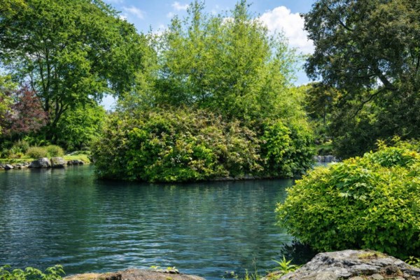 Rose House Residential Care Home FY8 2NY