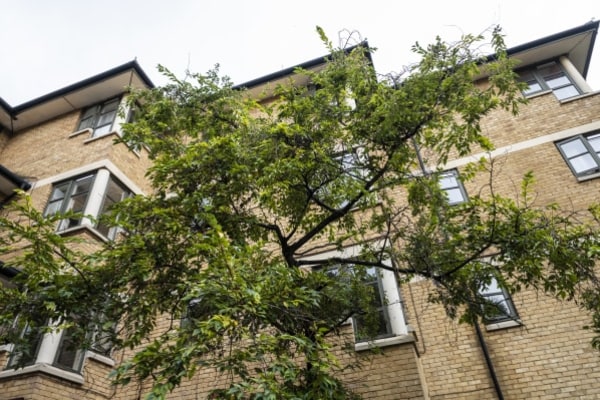 Alan Morkill House, 88 St Mark's Road