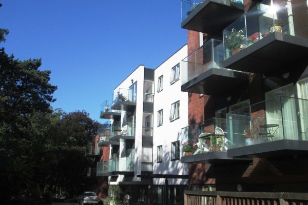 Trees, 2 - 4 Broadlands Road