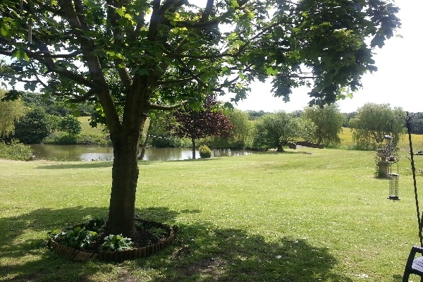 Every Sensation, Birchwood Grange