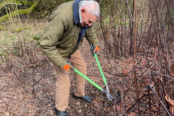 Abbey Lodge, Hastings Road