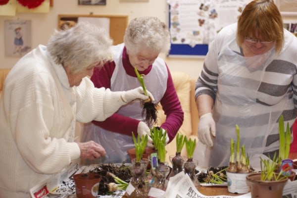 The Cedrus Club, Stowmarket, Suffolk
