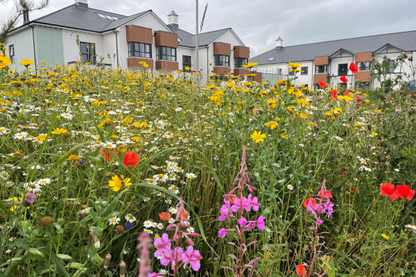 Copelands Dementia and Residential Care, 97 Donaghadee Road