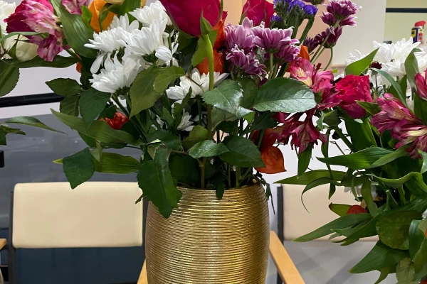 Matron House Adult Day Care Centre, London