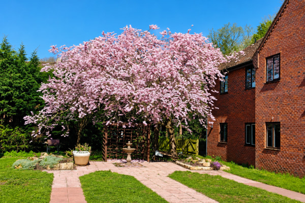 Abbey Wood Court, Bolham Lane