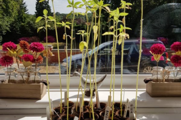 Broadland View Care Home NR7 0SA