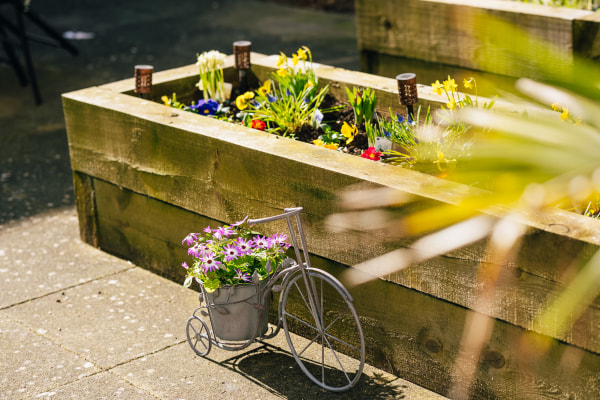 Lavender Court TA1 2BD