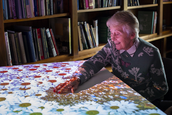 Claremont Court Care Home, Harts Gardens