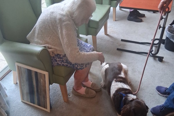 Rosedale Care Home RH13 5PP