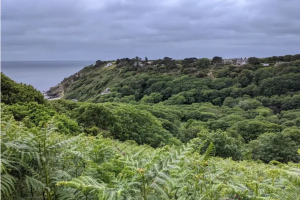 Menwinnion Country House Care Home, Penzance