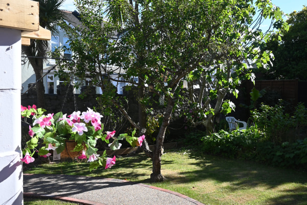 Belmont House TQ5 9LY
