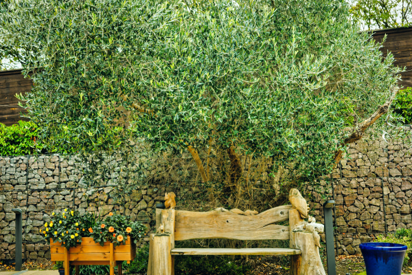 Peaker Park Care Village LE16 7FP