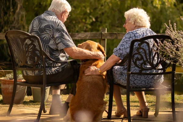 Meadowbanks Care Home, Upminster