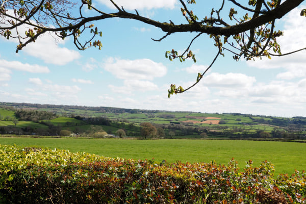 Hill House, Honiton, Devon