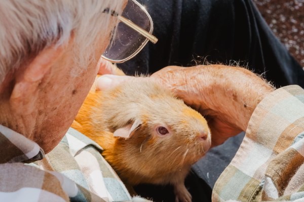 West View Care Home PL20 7DU