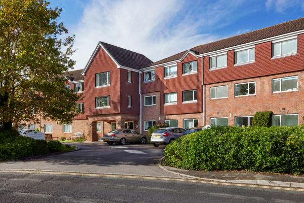 Chestnut View, Lion Green