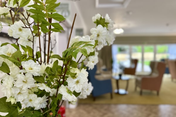 Greenlane House, Brampton, Cumbria
