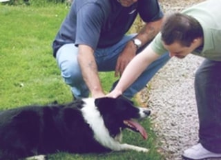 Manager Lobs Care Home Dorset Manager Lobs Care Home Dorset