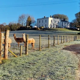 Hay House