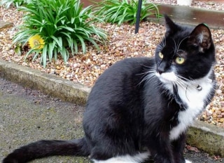 Beech Court Care Home, Nottingham, Nottinghamshire