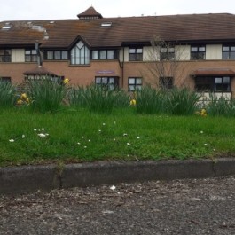 Primrose Care Home Gateshead