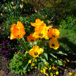 Whitgift House, South Croydon, London