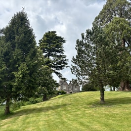 Cholwell House Nursing Home, Bristol, Bath & North East Somerset