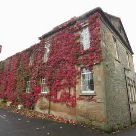Middleton Hall Care Home