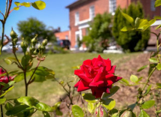 Teme Court Care Home, Worcester, Worcestershire