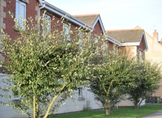 Bunkers Hill Care Home, Lincoln, Lincolnshire