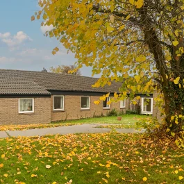 Home Meadow