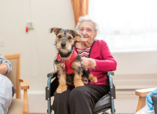 Ashlyn Care Home